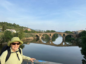 The bridge