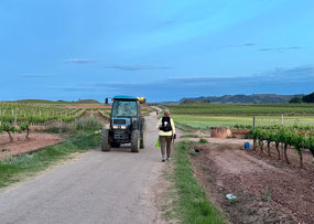 Early morning Farm work