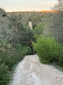 Got to go up that big hill!
