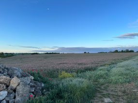 Early morning on the Camino. Leaving Hornillos.