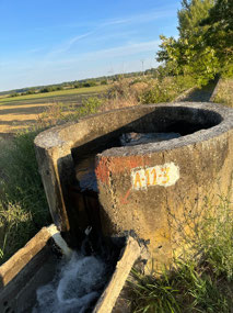 The irrigation system.