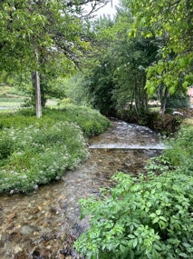 Followed this pretty stream for quite some way.