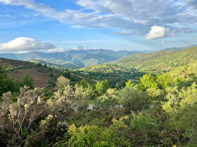 Stunning views.