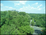 Het groene uitzicht uit het hotel 8 hoog