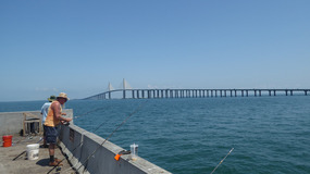 De bridge met vissers