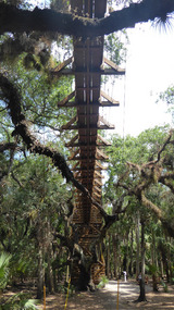 The canopy walk boven de boomtoppen
