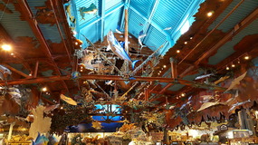 Bait shop in the Dolphin mall