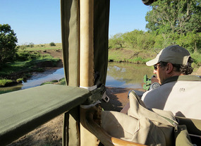 Bill Given Scans the Waterhole