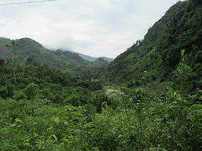 EN ROUTE TO THE VILLAGE ON THE RIVER