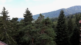 ARRIVING IN YASTREBETS