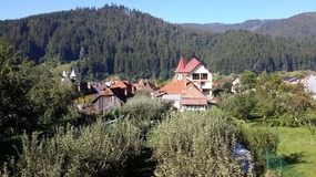 THIS IS THE VIEW WE SAW WHEN WE WOKE UP