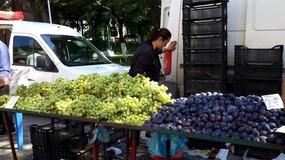 GORGEOUS GRAPES AND PLUMS