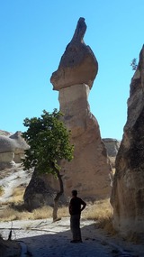 THE RABBIT ROCK
