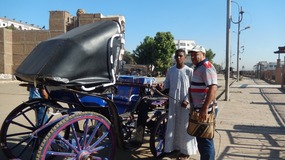 OUR BUGGY IS AWAITING....MONDOO AND THE DRIVER