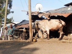 EVEN THE POOREST VILLAGERS HAVE TV