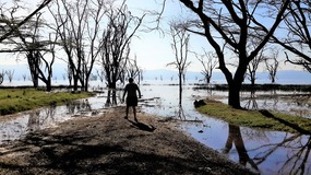 BILL ON THE SHORE OF LAKE NAKURU 