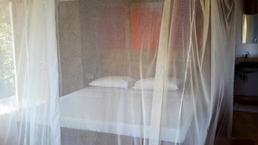 OUR EXOTIC CACOON