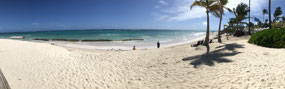 Check out the beach!