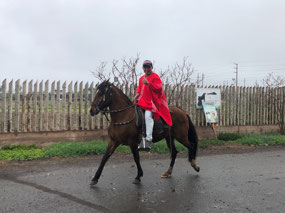Cantering Horse