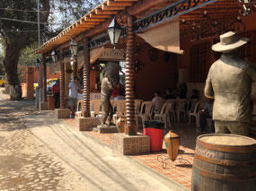 Pisco Sour Tour en route to Nazca