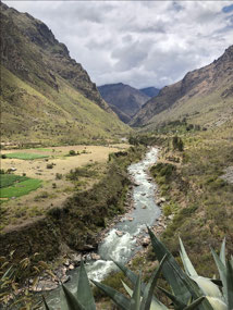 The “Meander”