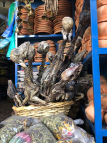 Llama Fetuses, Witches Market, La Paz, Bolivia