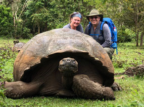 Galápagos Giant Tortoise!