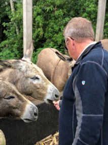 Feeding Donkeys