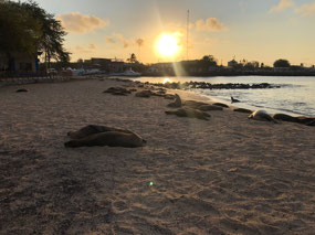 San Cristóbal Beach