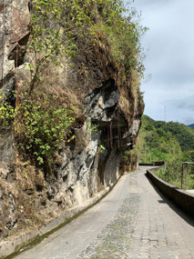 Bike Ride