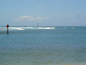 Surfers at Waikiki