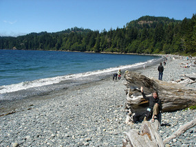 Dawn sitting on log at French Beach
