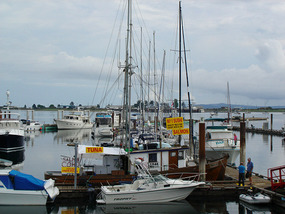 Selling fish from boat in Fishing Harbour