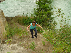 Dawn at Fraser River looking for berries