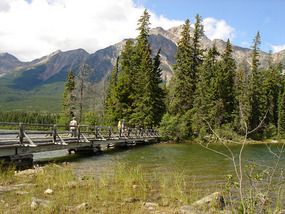 Island on Pyramind Lake