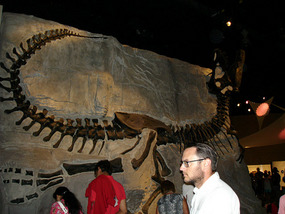 Dinosaur at Royal Tyrrell Museum of Palaeontology