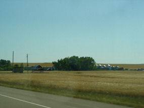 Wheat farm on way to Calgary