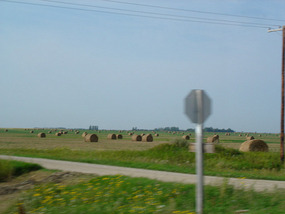 All farms have rolled bales of hay feed in fields