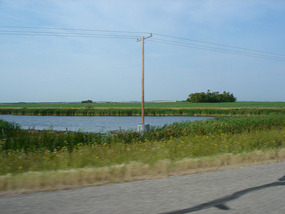 Lots of ponds and bullrushes on the farmlands