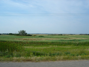 Lush farmlands on the way to Winnipeg