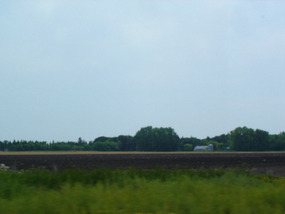 Lush rich clay soil on the farms