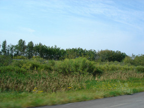 Scenery changes to valleys and trees