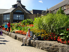 Morning tea at the Falls Main Centre