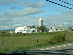 Grain farm on island