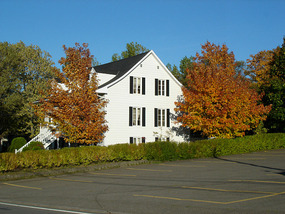 Autumn sugar maples changing colour