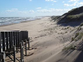 View of Brackley Point