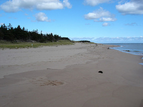 The sand didn't really sing loud for us