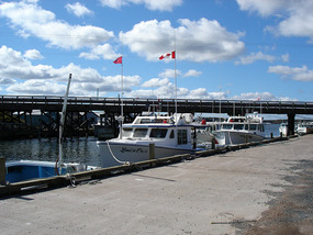 Tuna fishing boats at North Lake Harbour