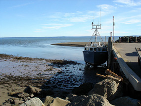 Tides out at Alma Harbour