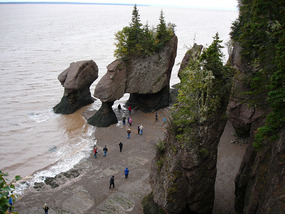 People walking on ocean floor at Flower Pot Rocks